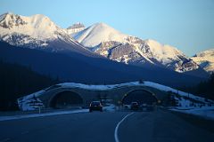 17A Fairview Mountain, Mount Niblock, Mount St Piran Early Morning From Trans Canada Highway Between Castle Junction And Lake Louise in Winter.jpg
